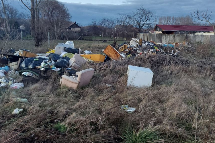 Évekig halmozta a szemetet telkén egy férfi - Fotók